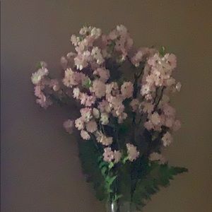 Meet your Posher, Rose